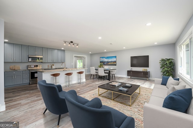 living room featuring rail lighting, sink, and light hardwood / wood-style floors