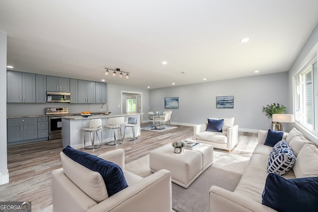 living room with light wood-type flooring, rail lighting, and sink