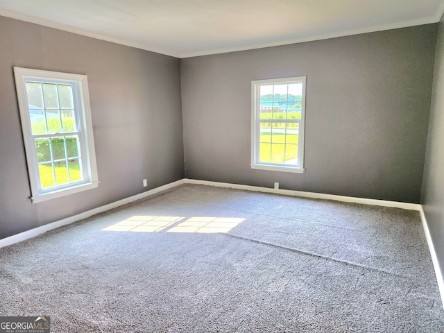 empty room with crown molding, a wealth of natural light, and carpet floors