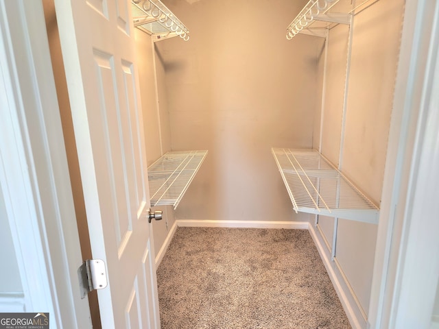 walk in closet featuring carpet flooring