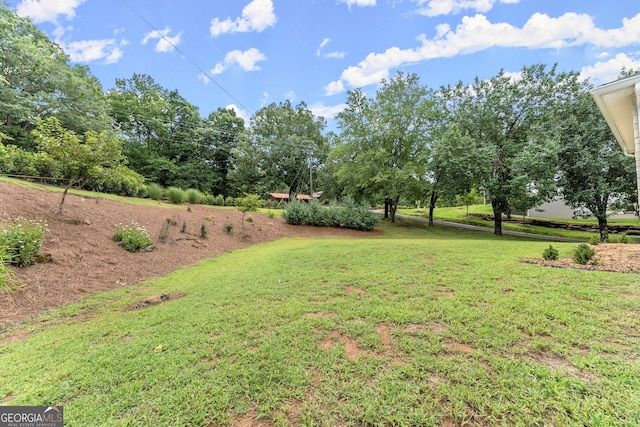 view of yard