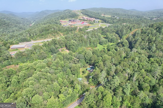 drone / aerial view featuring a mountain view