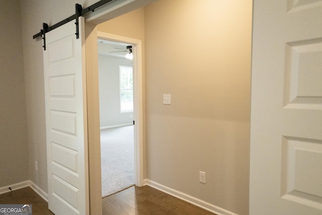 hallway with dark hardwood / wood-style flooring and a barn door