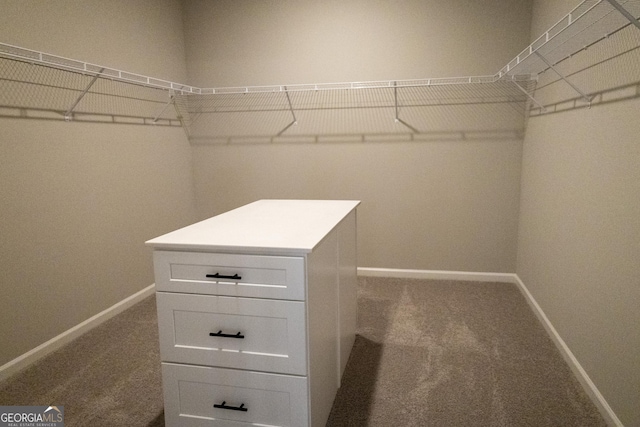 spacious closet with carpet floors