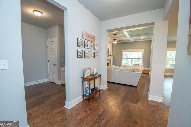 hallway with beam ceiling, dark hardwood / wood-style flooring, and coffered ceiling