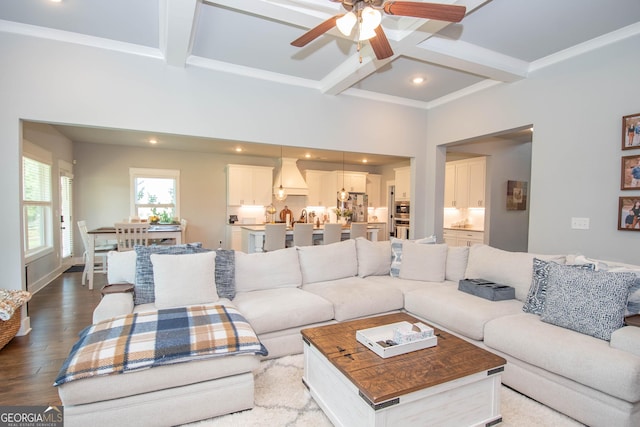 living room featuring beam ceiling, ceiling fan, and hardwood / wood-style flooring