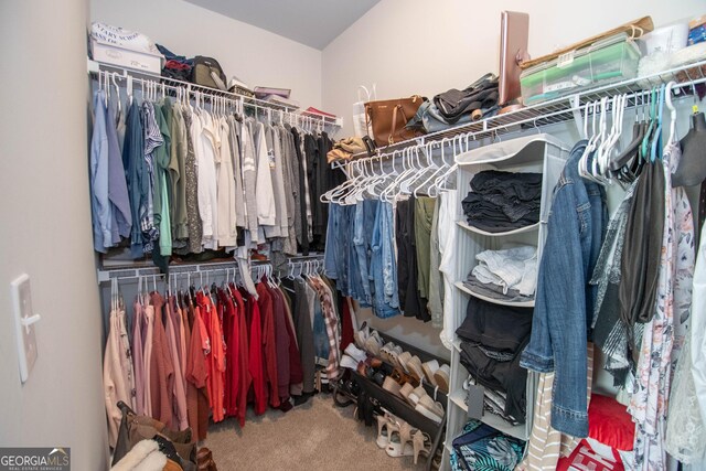 spacious closet featuring carpet floors