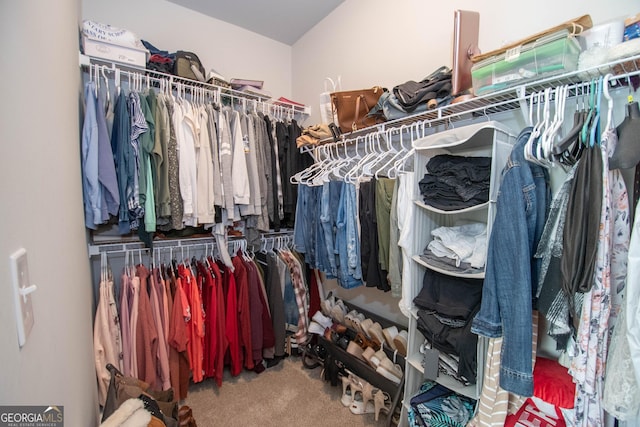 spacious closet with carpet