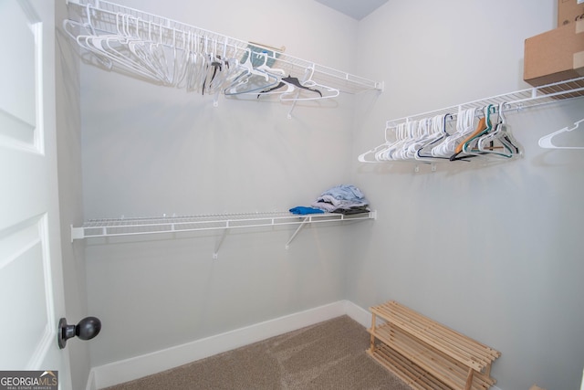 walk in closet featuring carpet flooring