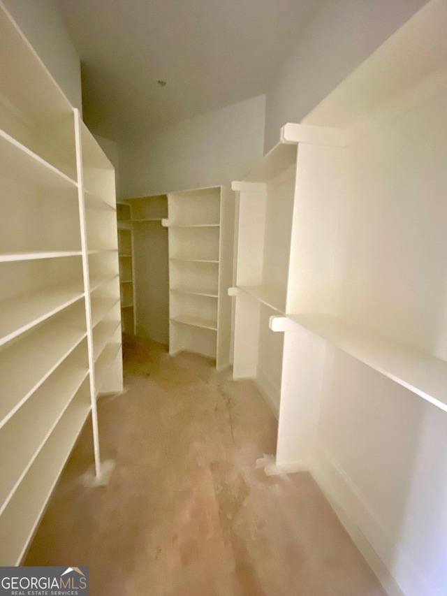 spacious closet with light carpet