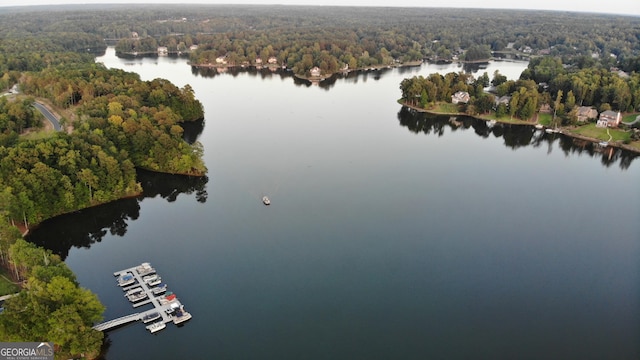 drone / aerial view featuring a water view and a wooded view