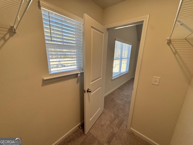 interior space with carpet floors