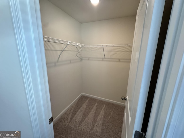 spacious closet with carpet