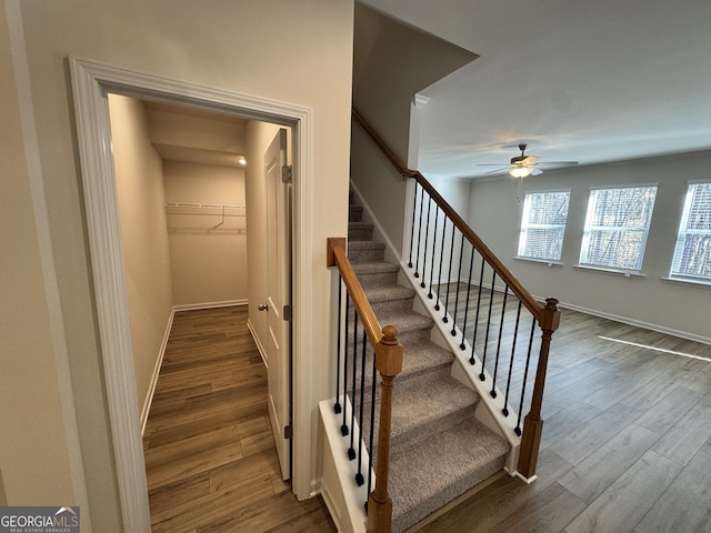 stairway with ceiling fan and hardwood / wood-style flooring