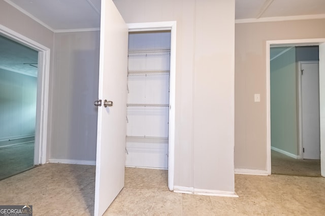 view of closet