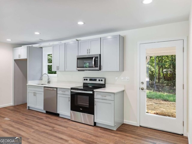 kitchen with stainless steel appliances, wood-type flooring, and a wealth of natural light