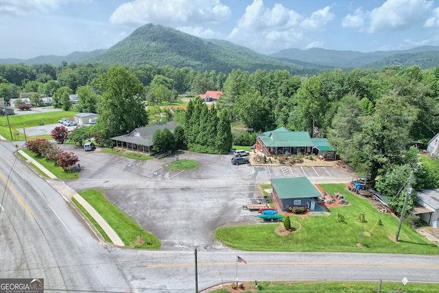 birds eye view of property featuring a mountain view