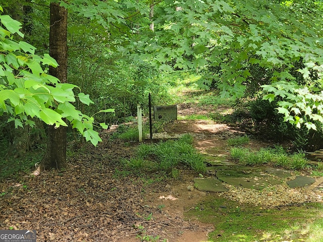 view of local wilderness