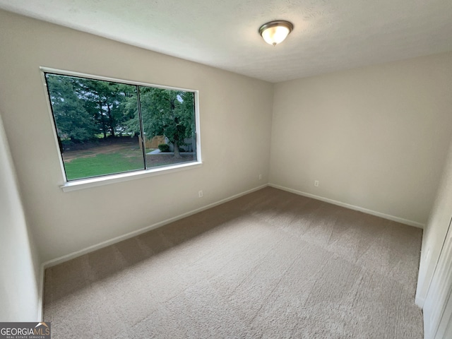 spare room featuring carpet flooring