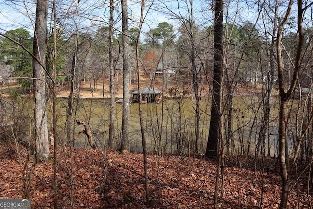 LOT9 Dogwood Dr, Sparta GA, 31087 land for sale