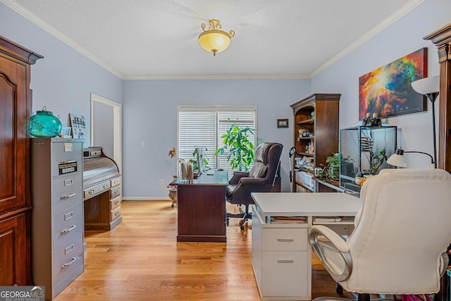 office area with ornamental molding, a textured ceiling, and light hardwood / wood-style floors