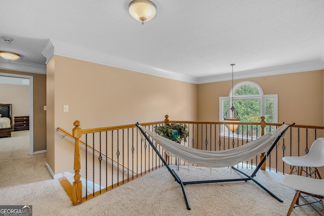 hallway with crown molding, carpet flooring, and a textured ceiling