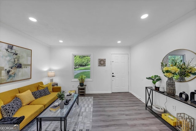 living room with light hardwood / wood-style flooring