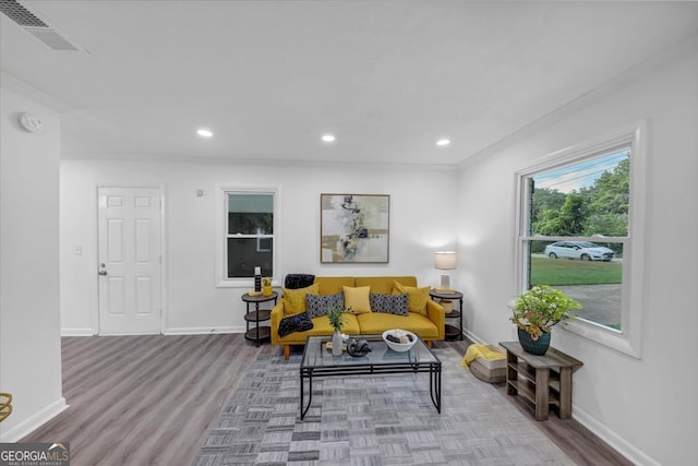 living room with wood-type flooring and crown molding