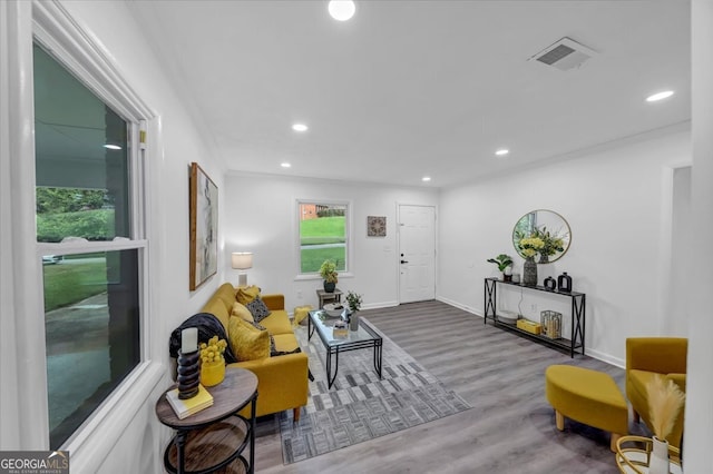 living room with wood-type flooring