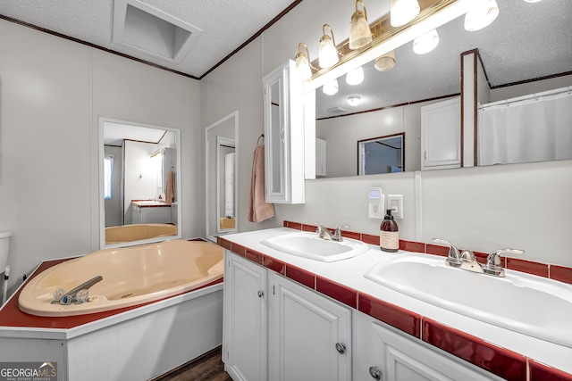 bathroom with vanity, ornamental molding, and a textured ceiling