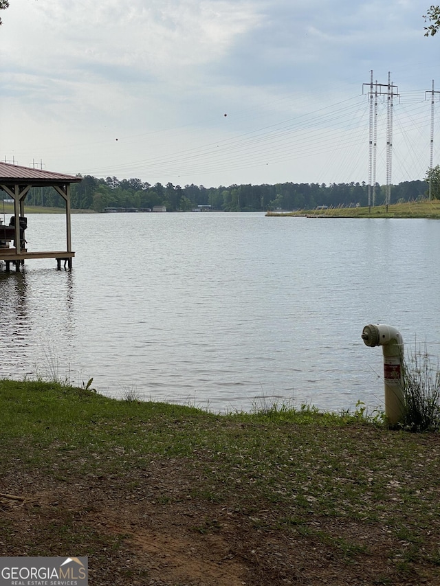 property view of water featuring a dock