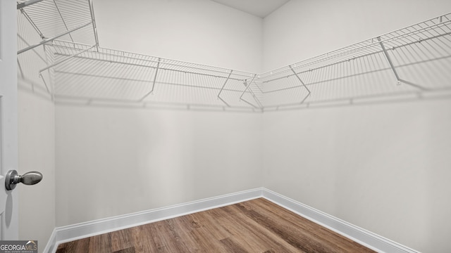 walk in closet featuring hardwood / wood-style flooring