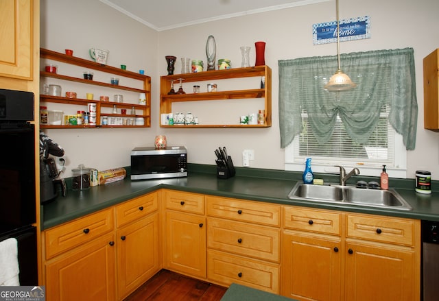 kitchen featuring dishwasher, dark hardwood / wood-style floors, decorative light fixtures, sink, and ornamental molding