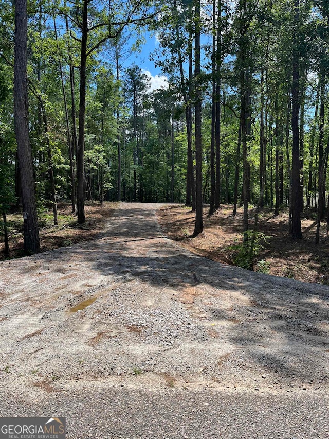 Listing photo 3 for LOT41 Sunglo, Sparta GA 31087