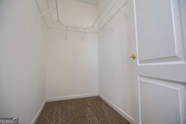 spacious closet featuring carpet flooring