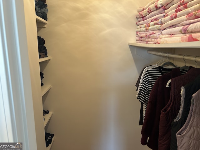 view of spacious closet