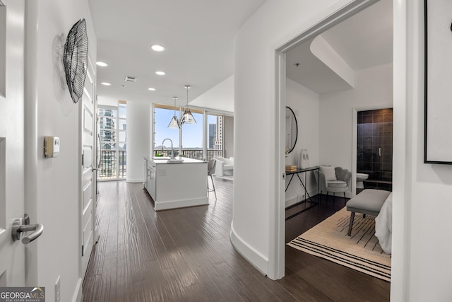 corridor with expansive windows, dark hardwood / wood-style floors, and a notable chandelier