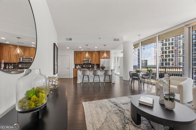 living room featuring dark hardwood / wood-style floors and a wall of windows