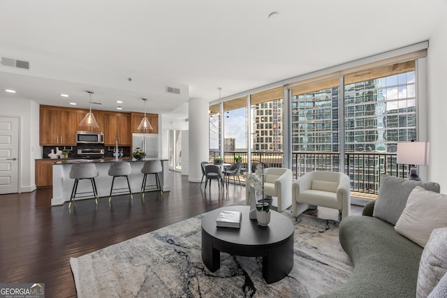 living room with floor to ceiling windows, dark hardwood / wood-style flooring, and a healthy amount of sunlight