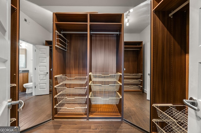 spacious closet with hardwood / wood-style flooring