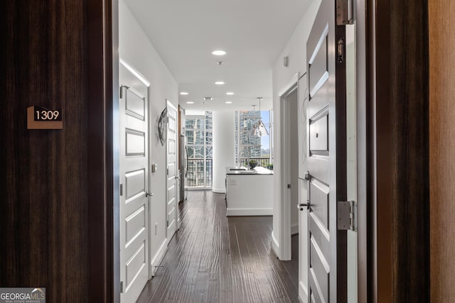 hallway featuring a wall of windows and dark wood-type flooring