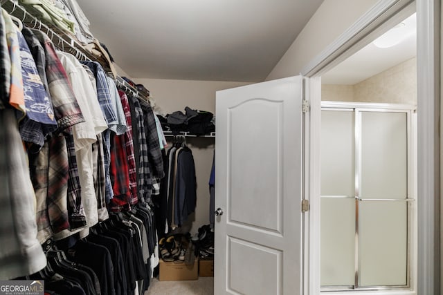 spacious closet with carpet