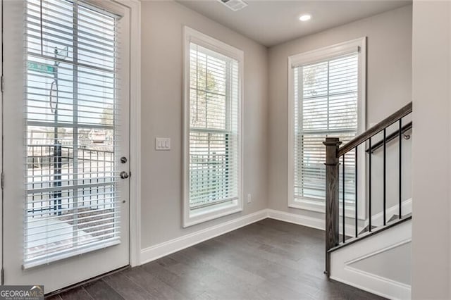 entryway featuring dark hardwood / wood-style flooring and plenty of natural light