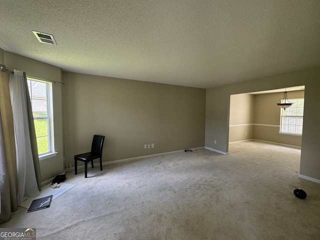 carpeted spare room with plenty of natural light and a textured ceiling