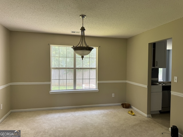 empty room with plenty of natural light, carpet floors, and a textured ceiling