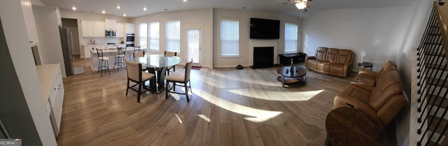 dining area featuring light hardwood / wood-style flooring