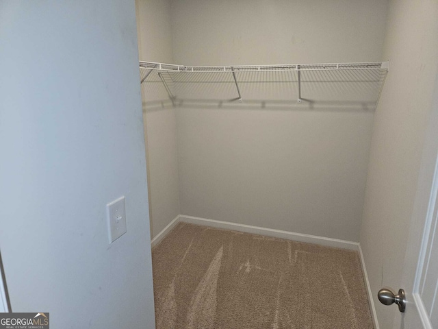 walk in closet with carpet