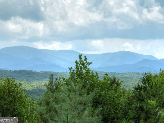 view of mountain feature