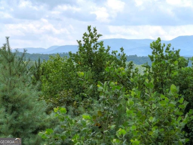 view of mountain feature