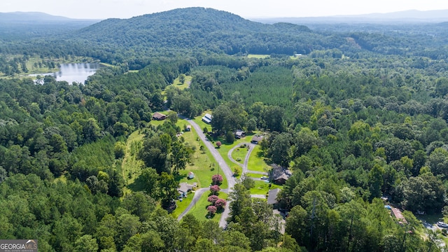 birds eye view of property with a water and mountain view